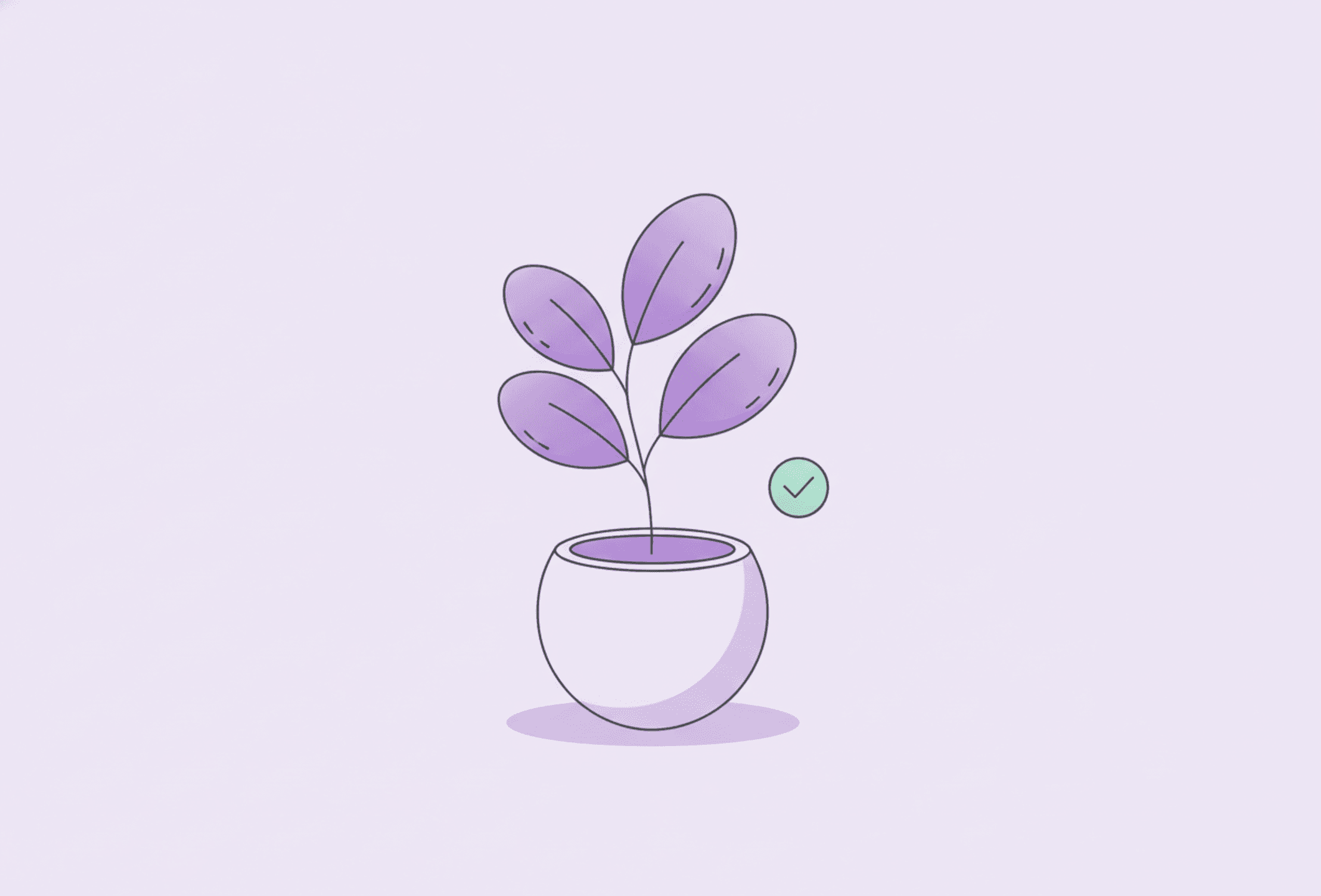 Une jeune plante en pot avec quelques feuilles nouvelles sur un rebord de fenêtre dans une lumière matinale douce, qui pousse à son rythme.